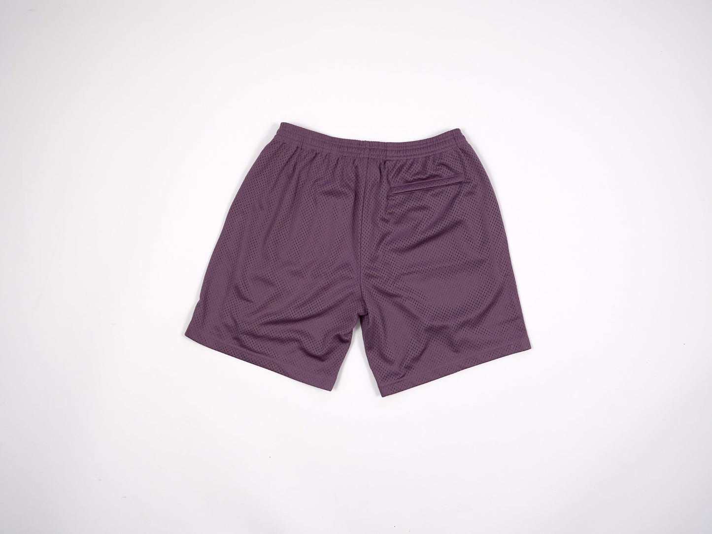 Retro Plum Mesh Shorts
