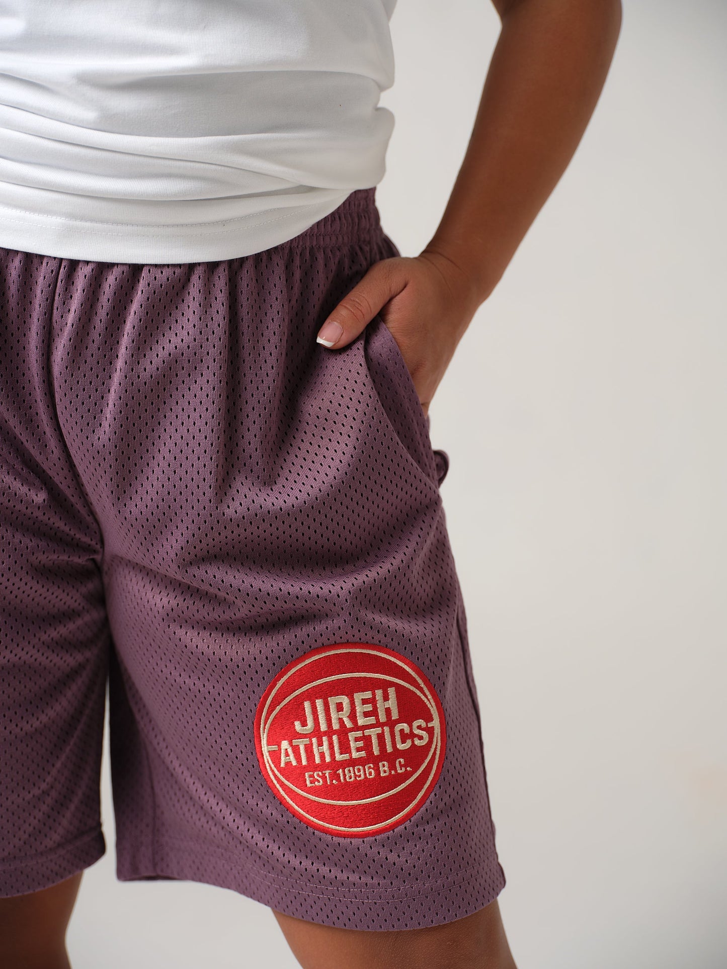 Retro Plum Mesh Shorts
