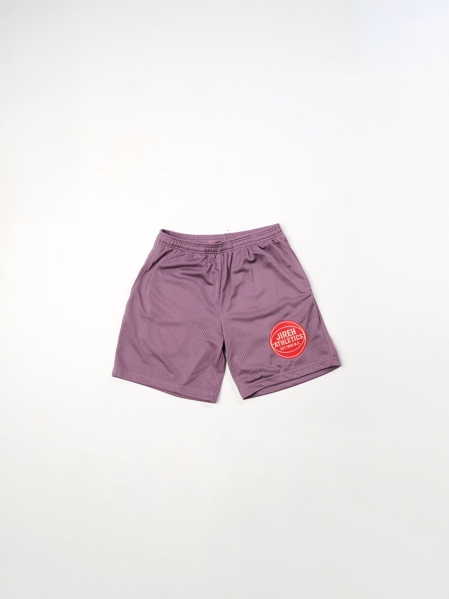 Retro Plum Mesh Shorts